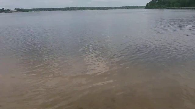 Озеро Сенеж)))г Солнечногорск МО 10.06.2020 смотреть онлайн