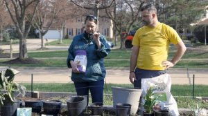 PETITTI Summer-Blooming Bulbs Part 1: Starting Tender Bulbs in Containers Early Spring