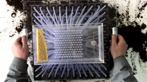 Универсальная ручная сеялка для кассет - процесс высадки семян