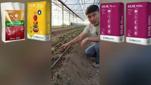 Правильное питание - залог хорошего урожая!!!