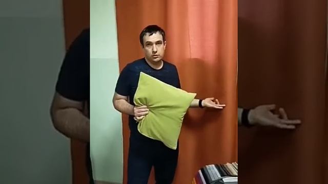 Шторы из мебельных тканей SOFT