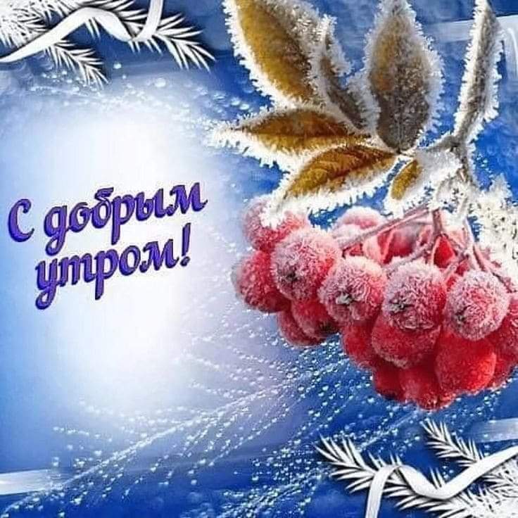 Желаю Самого Доброго Утра И Отличного Дня❄️ смотреть онлайн