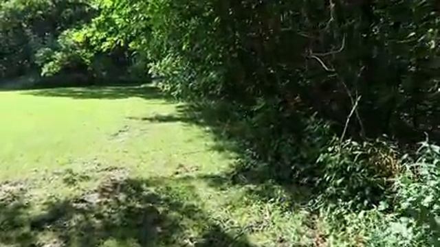 Strange Forest Graveyard and Abandoned Something??? | Found Hidden Vault!s смотреть онлайн