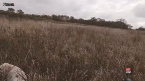 ?ХОДОВАЯ ОХОТА С СОБАКАМИ ✅ФАЗАН И УТКА✅ПАТРОН САМОКРУТ ДРОБЬ САМОЛЕЙКА №7