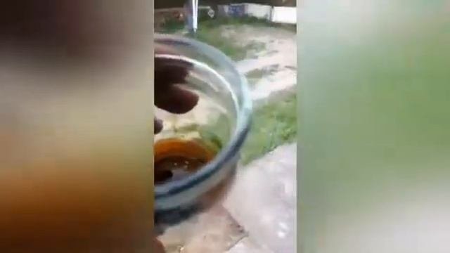 Промывка двигателя ЛиквиМоли ТЕСТ