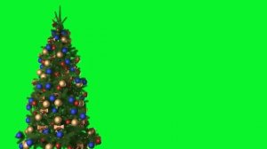 ФУТАЖ Новогодняя елка