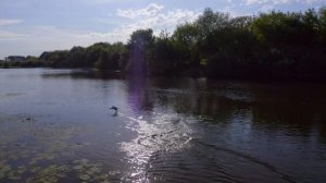 Орехово-Зуево