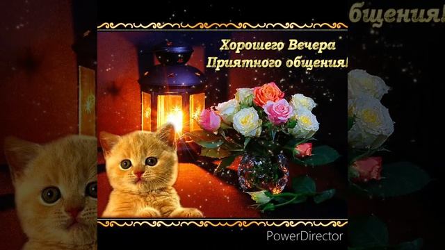 Уютного вечера!!!
