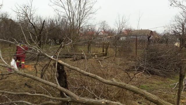 Убираем лишние деревья смотреть онлайн