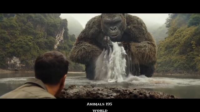 Gorilla vs man attack for octopus movie 2021