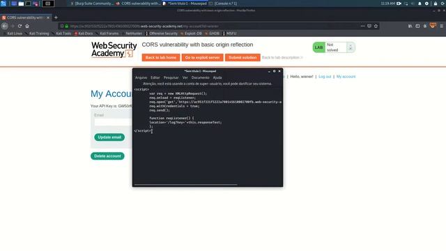 PortSwigger CORS vulnerability with basic origin reflection (Solution) смотреть онлайн