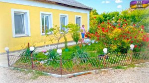 Сделали красиво! Еще чуть-чуть и будет сказка! Как подросли цыплята? Новые стулья. Ручные козы.