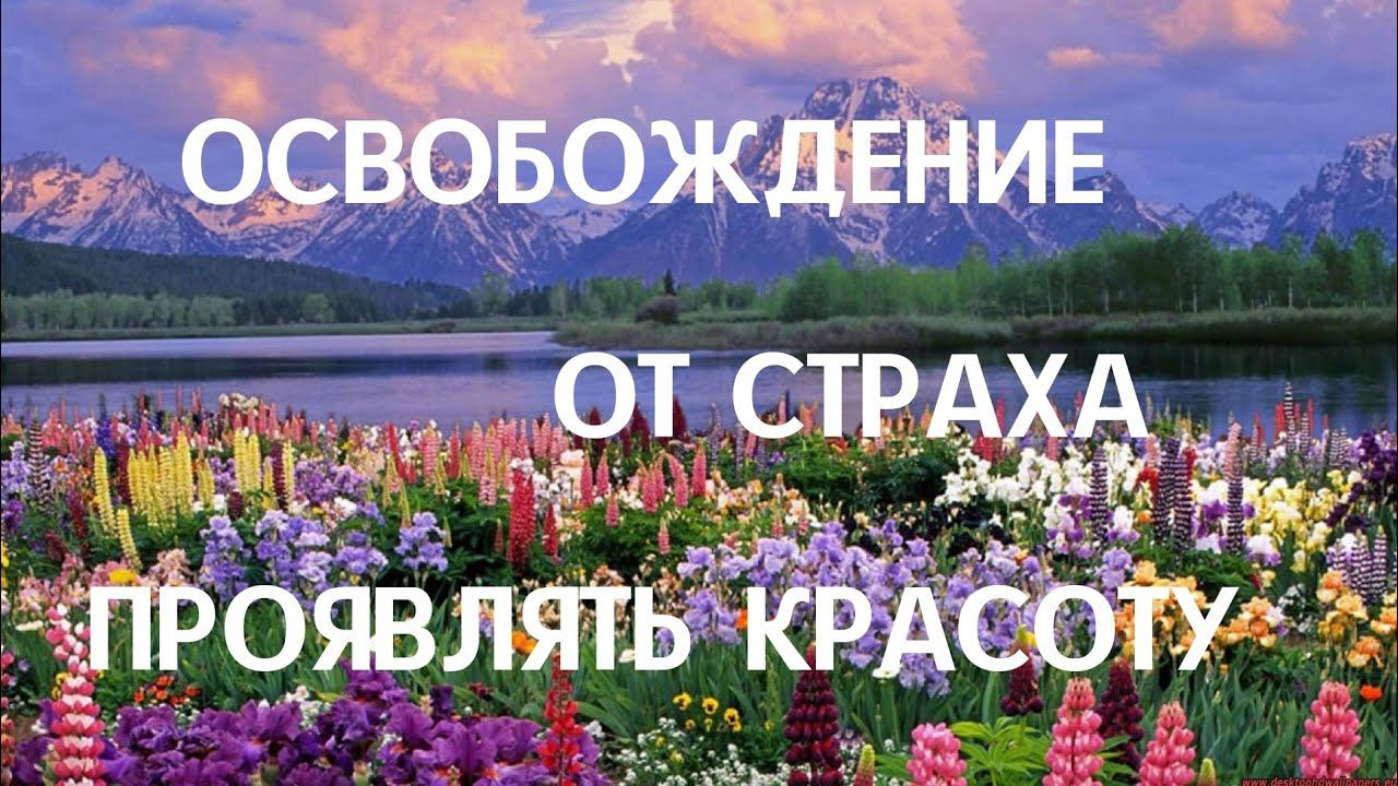 Освобождение от страха проявлять красоту