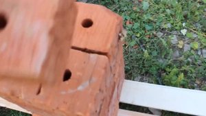 ОСИНА в бане # ГНИЛЬЕ против ЧИСТОГО дерева