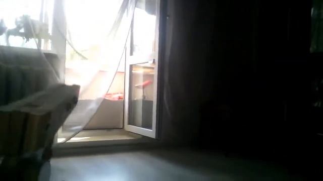 Мои поделки из дерева ( оружия ).Часть 2 смотреть онлайн