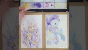 Ирисы Акварель + линер