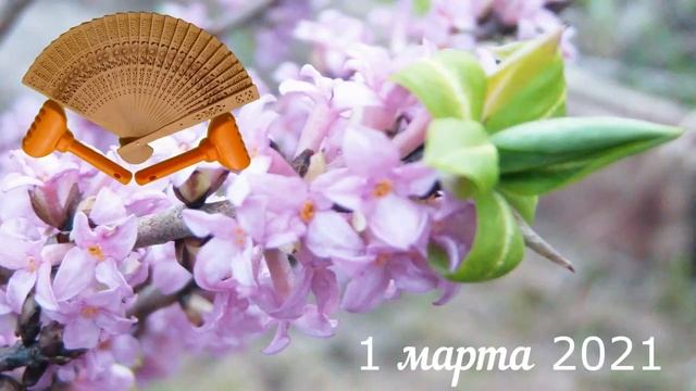 Грабли веерные Для любителей канала Грабли Лайф 01 03 21 смотреть онлайн