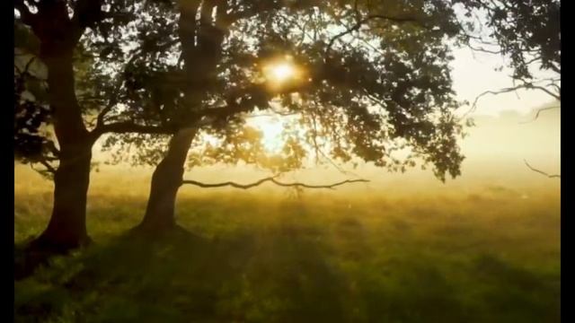 Медитация для достижение внутренней тишины смотреть онлайн