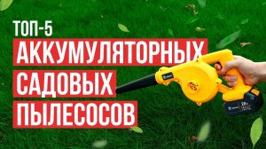 ТОП-5 Аккумуляторных садовых пылесосов от 5000 рублей! Лучшие аккумуляторные воздуходувки для сада.