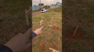 Строю Большой A frame 9 на 15м. #4. Разметка углов дома.