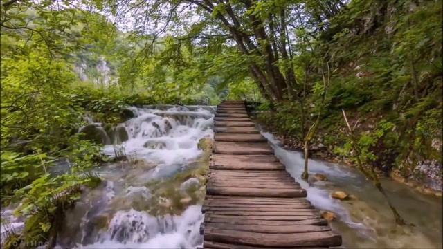 У ребенка не было денег, ребенка высадили из автобуса смотреть онлайн