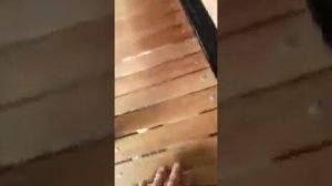 суперская беговая дорожка для собак, технологии движутся вперёд!