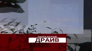 Тизер Охота на вяхиря (лесного голубя) с скорлупками ПОЛЕСНИК