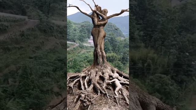 Советую посмотреть - Дерево любви смотреть онлайн