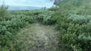 Ивановские озера - Ивановское, Верхнее, Сердце. Лето 2020 г.