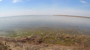 Молочный лиман наполняется с Азовского моря промоина работает 21 марта 2020