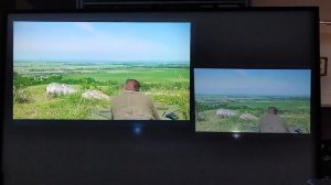 엡손 EF-11 화질 / EPSON EF-11 vs VIEWSONIC M1+G2