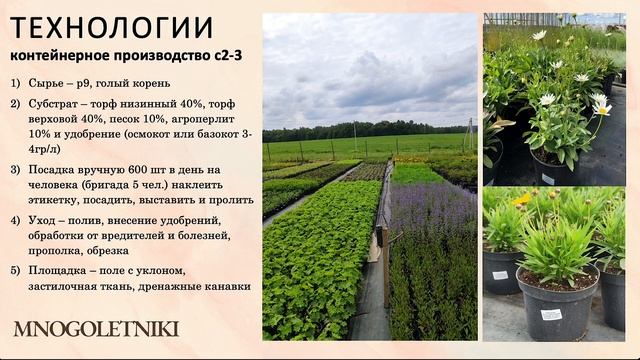 2ч. 