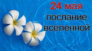 ПОСЛАНИЕ ВСЕЛЕННОЙ на 24 мая.