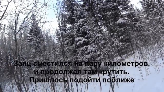 Охота на зайца 11 01 18 смотреть онлайн