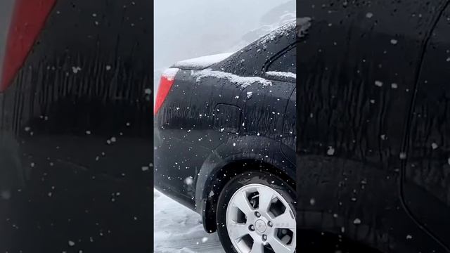 Carrozzeria music T.me/Carrozzeria_mp3 смотреть онлайн