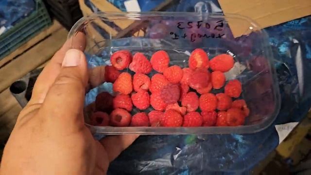 Маравилла, сколько дней сохраниться ягода, эксперимент. смотреть онлайн