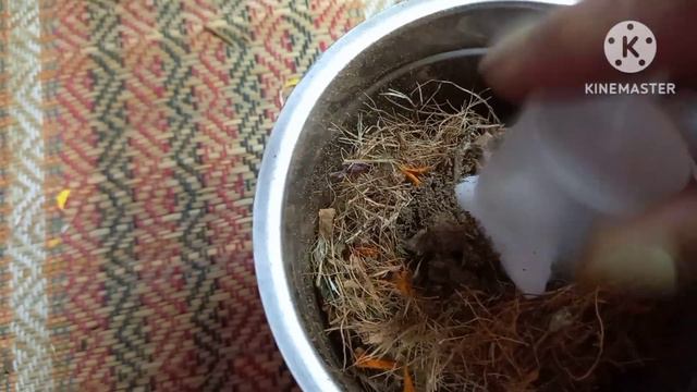 Agarbatti || How to Make Agarbatti Using Dried (waste) Flower|| Chemical Free смотреть онлайн