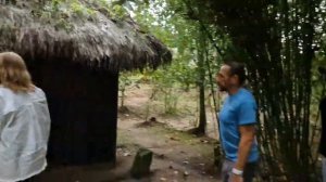 Ретрит в Эквадоре. Общение с растениями-учителями. Растения Эквадора