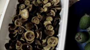 Сушим фейхоа Крепкий иммунитет Йод Здоровая щитовидка