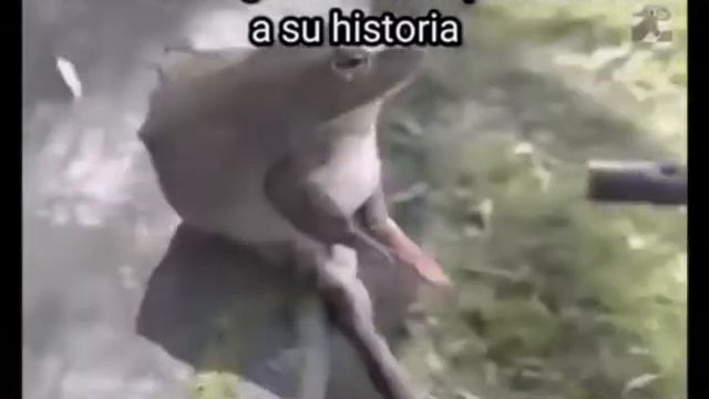 El barbero grabándome para subirlo a su historia 💈😎 смотреть онлайн