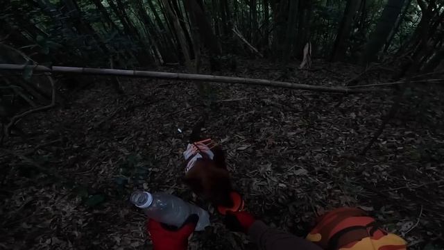猟犬リキと単独狩猟。ハスキー犬のような大型野犬がいる中、でかイノシシの心臓を一撃で撃ち抜いた一銃一狗。