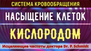 Насыщение Клеток Крови Кислородом (мозга, легких, сердца) Квантовая медитация