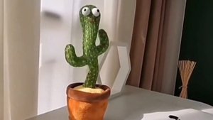 поющий кактус