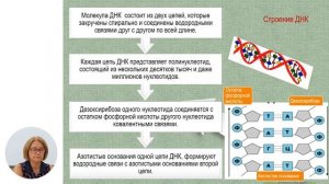 Биология, 10-й класс, Белки. Нуклеиновые кислоты