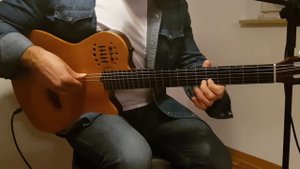 Boss Acoustic Singer pro