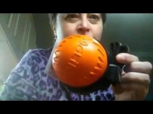 Разница первого и второго сорта собачьих игрушек DogLike