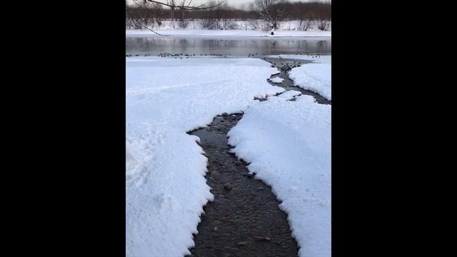 Весна наступает
