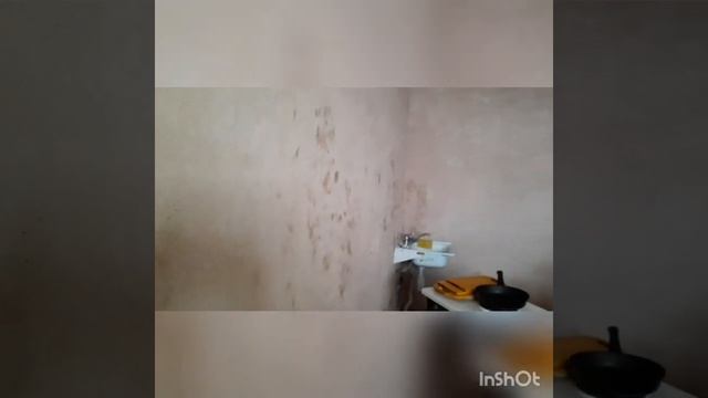 ИРИНА ДЕЛАЕТ РЕМОНТ