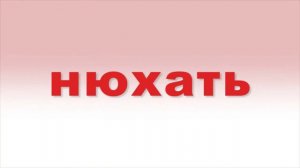 Карточки Домана. Чтение. 20 день 1 урок.