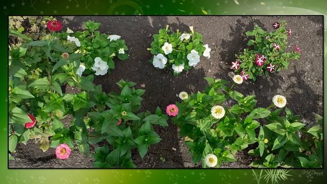 Усадьба Сергея Антипова Кожаны смотреть онлайн